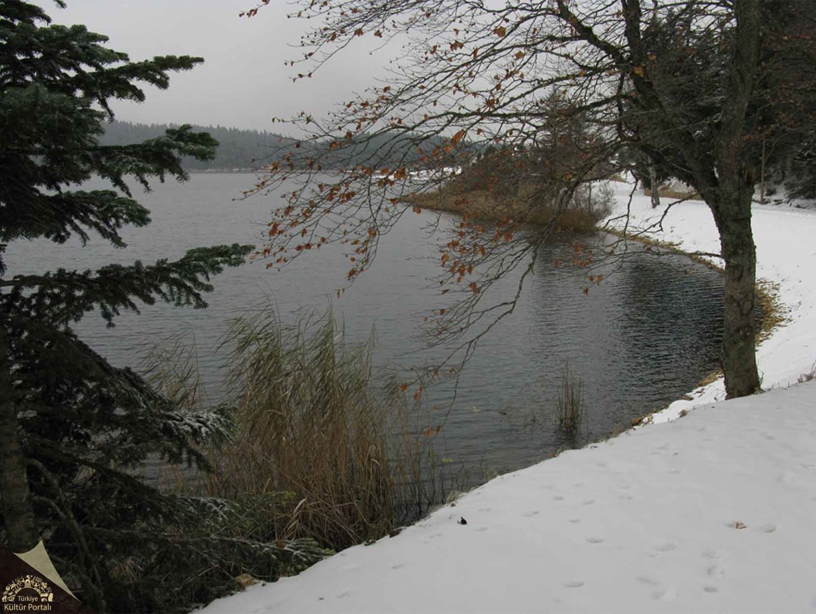 Abant Lake Nature Park - Bolu